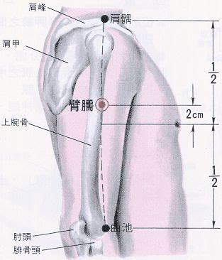 奇門穴位置|醫砭 » 經穴庫 » 期門